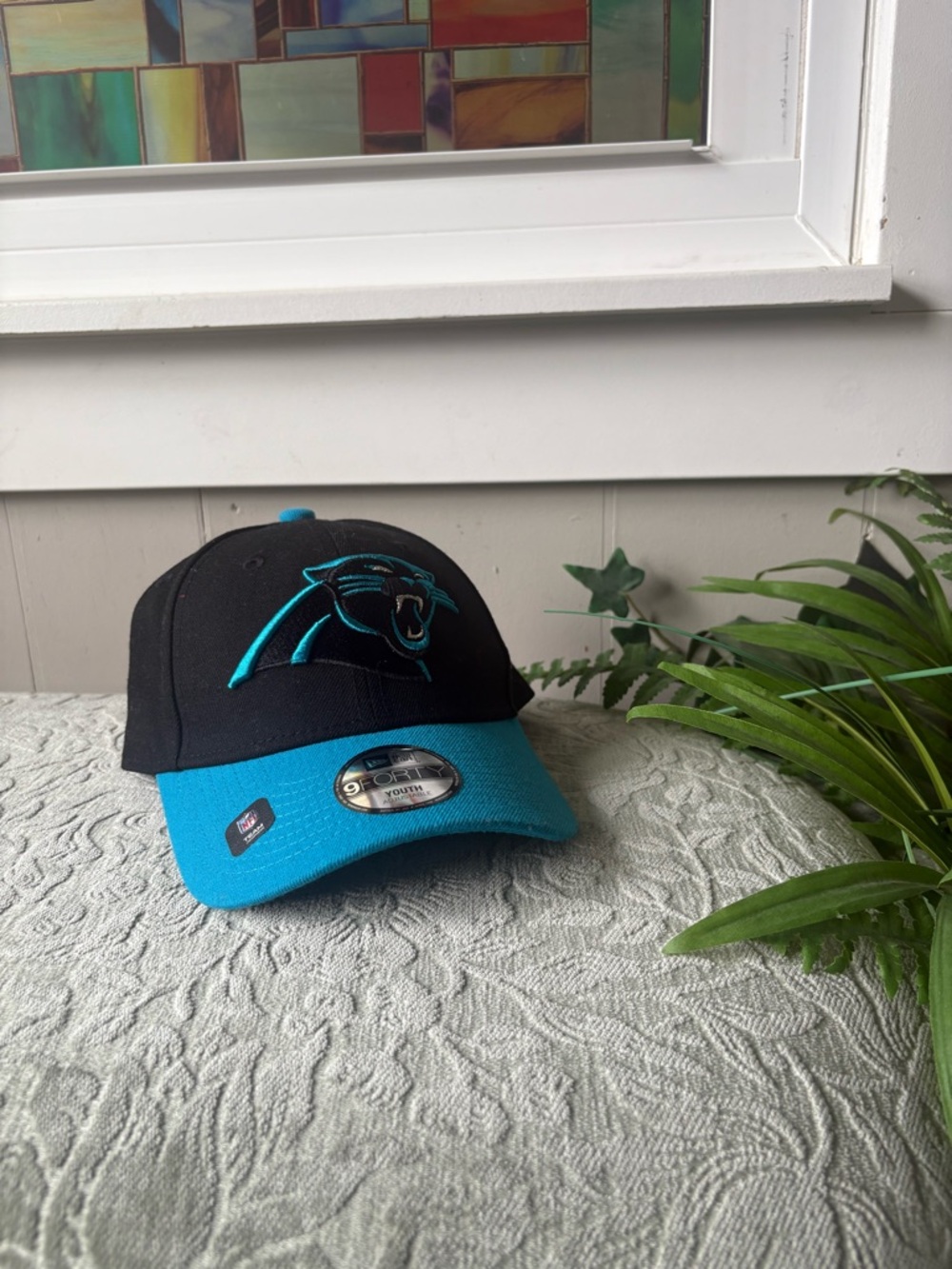 Panthers Hat